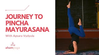 How To: Pincha Mayurasana | Forearm Balance Drills & Technique