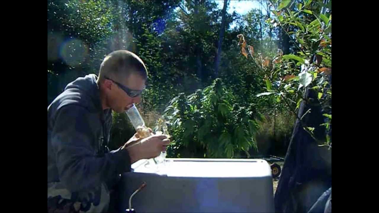 Higher Healing Wake n Bake