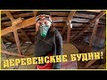 Деревенские будни / Пришла весна / Выпустили коров / Купили луковицы цветов