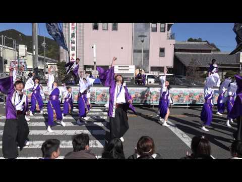 東紀州踊走会―絆―③[奉華]20150118_大感謝フェア[4K]