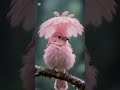 #birdslovers #beautifulflowers #viral #ytshorts #birds #@travicotravel #nature