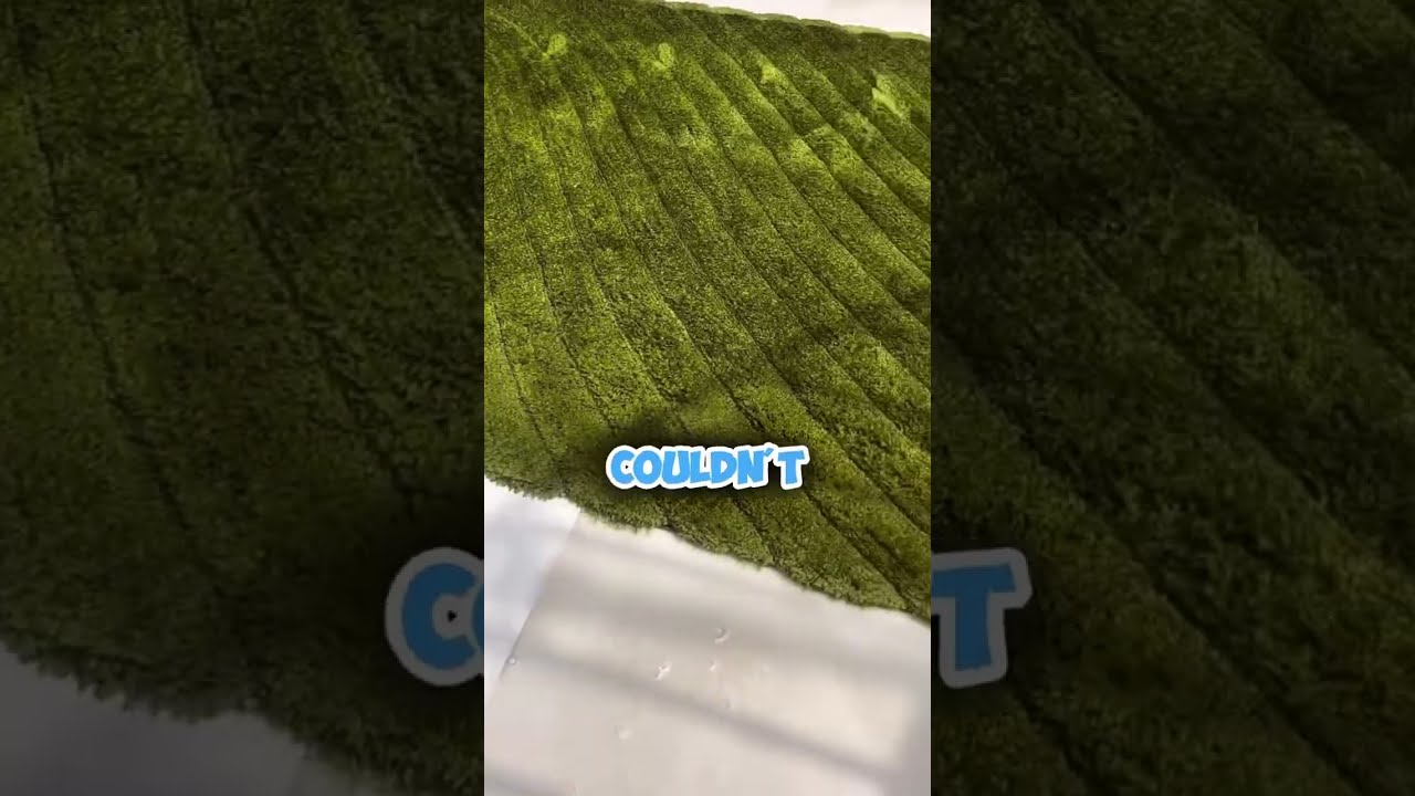 Patr7 Redditst Reddit Fyp