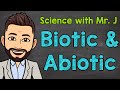 Biotic And Abiotic Factors In Ecosystems