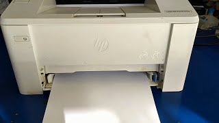 hp laserjet pro m102a paper jam