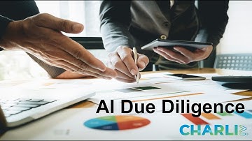 Overview of AI Due Diligence