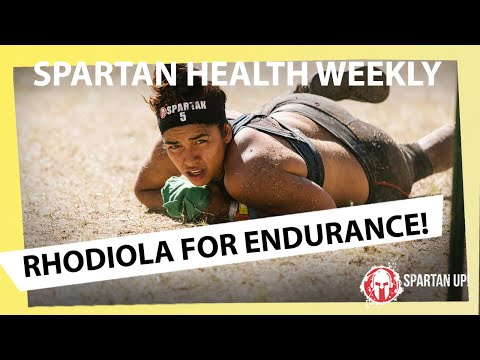 Video: Rhodiola Frostig