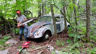 ABANDONED Car Rescued From Woods After 50 Years - 1960 VW Beetle | 4 Full Restoration