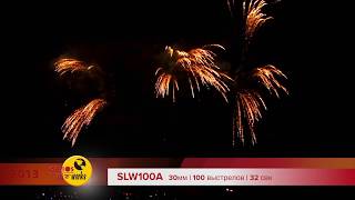 SLW100A 2013