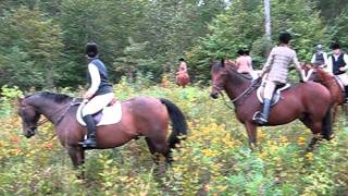20110917_1586.AVI