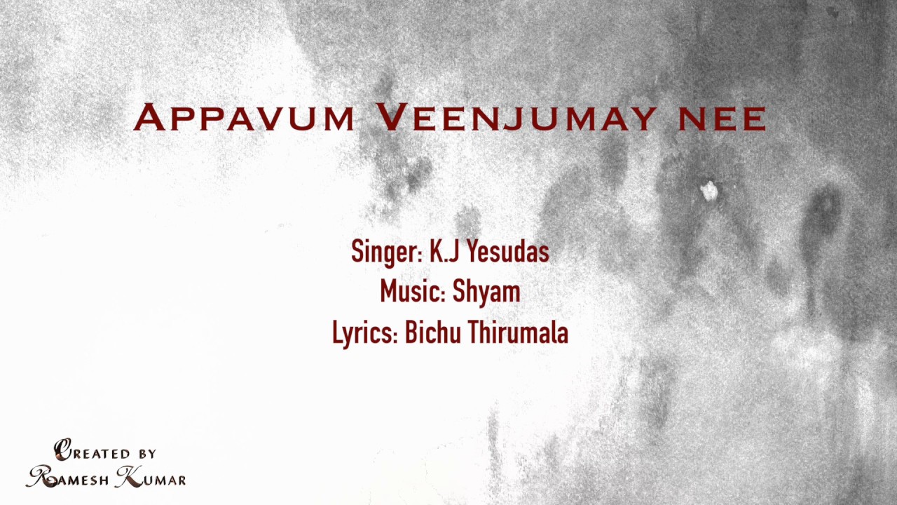 Appavum Veenjumayi Karaoke with lyrics