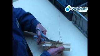 Elastiek Op Lengte Snijden