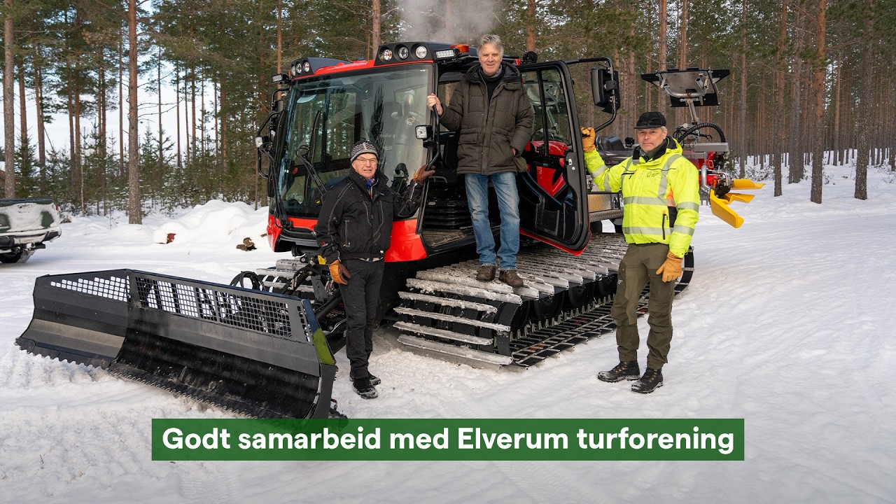 Hogst ved skiløyper i Elverum