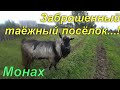 Заброшенный посёлок 3 месяца спустя.