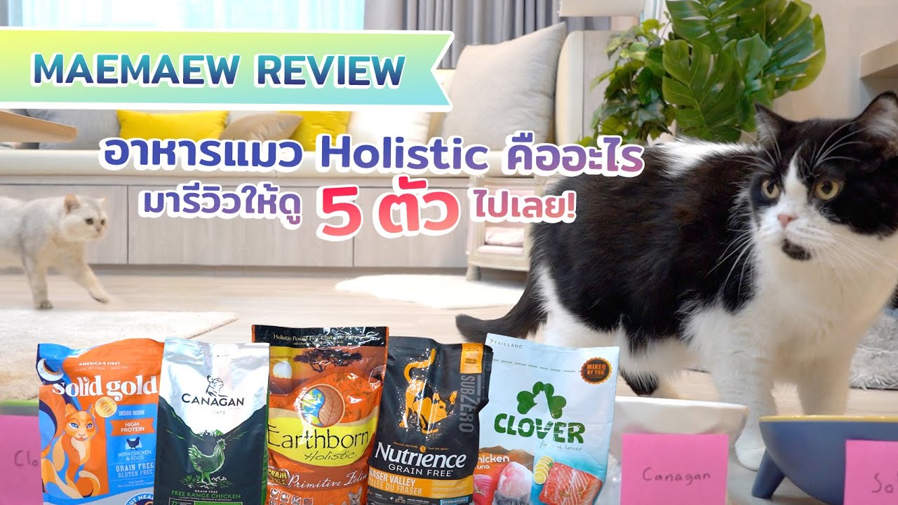 รีวิวอาหารแมว Holistic ทั้ง 5 ตัว ดีจริงไหมนะ