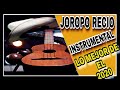 |JOROPO RECIO| ☑️ lo mejor de la MUSICA criolla LLANERA instrumental 2020