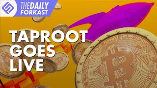 Bitcoin's Taproot Update Goes Live | The Daily Forkast