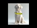 #3dprinting 3d printing a dog for every subscriber continues toarrow.