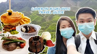 Cameron Highlands Travel Guide | Bharat Tea, Cameron Highlands Resort, Lavender Garden Part 1