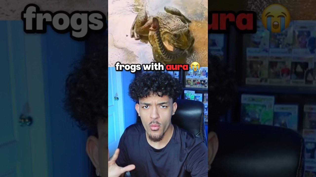 лягушки с аурой 😭 