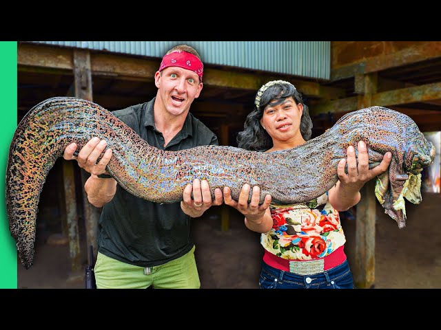 Giant Slimy Eel!! Insane Indonesian Food of the Bugis Tribe!! class=