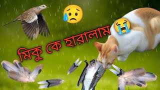 মিকুর শেষ ভিডিও।