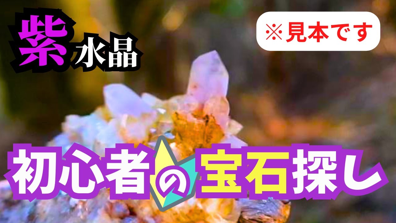 【宝石】初心者がアメジスト探しに挑戦しました！！！【紫水晶】