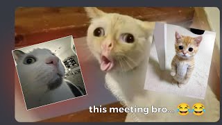 its a meeting...