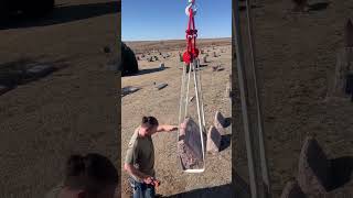 IMG 7606