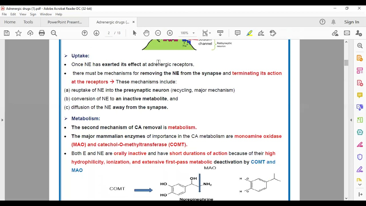 Level 3 - Medicinal (2) - Adrenergic Drugs (1)