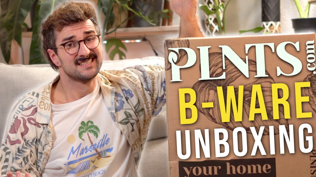Das soll B-Ware sein!? 8 Pflanzen für 35€!😱 PLNTS.com B-Ware Unboxing!