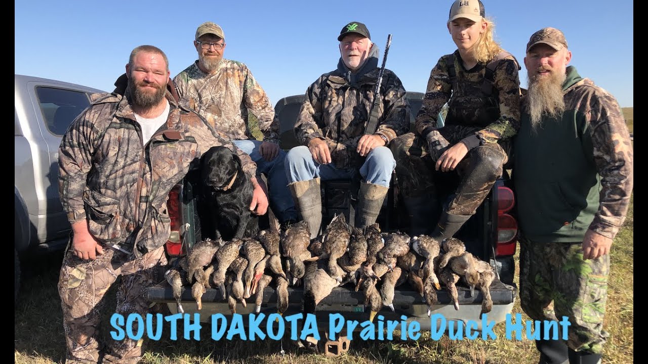 Duck Hunting North Eastern South Dakota Wild Dakota YouTube