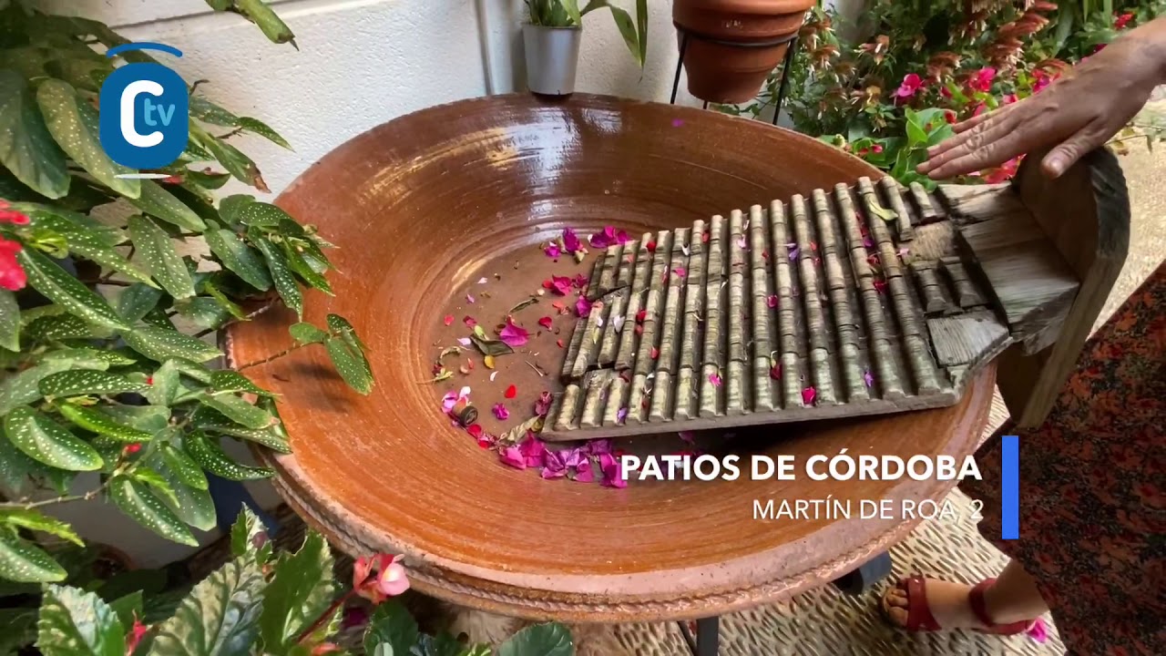 VISITAMOS EL PATIO DE LA CALLE MARTÍN DE ROA, 2