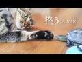 ほっと一息。【テロップなし・BGMなし】