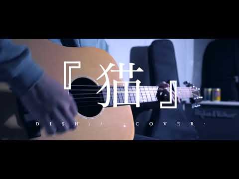 【初投稿】猫／DISH//【弾き語り】