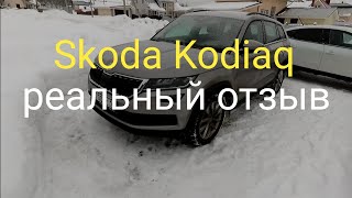 Школа Кодиак Skoda Kodiaq реальный отзыв владельца