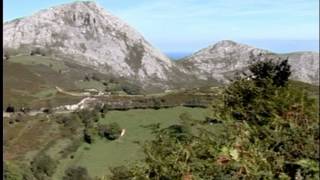 Área Geográfica de Distribución de la Raza Asturiana de la Montaña (ASEAMO)