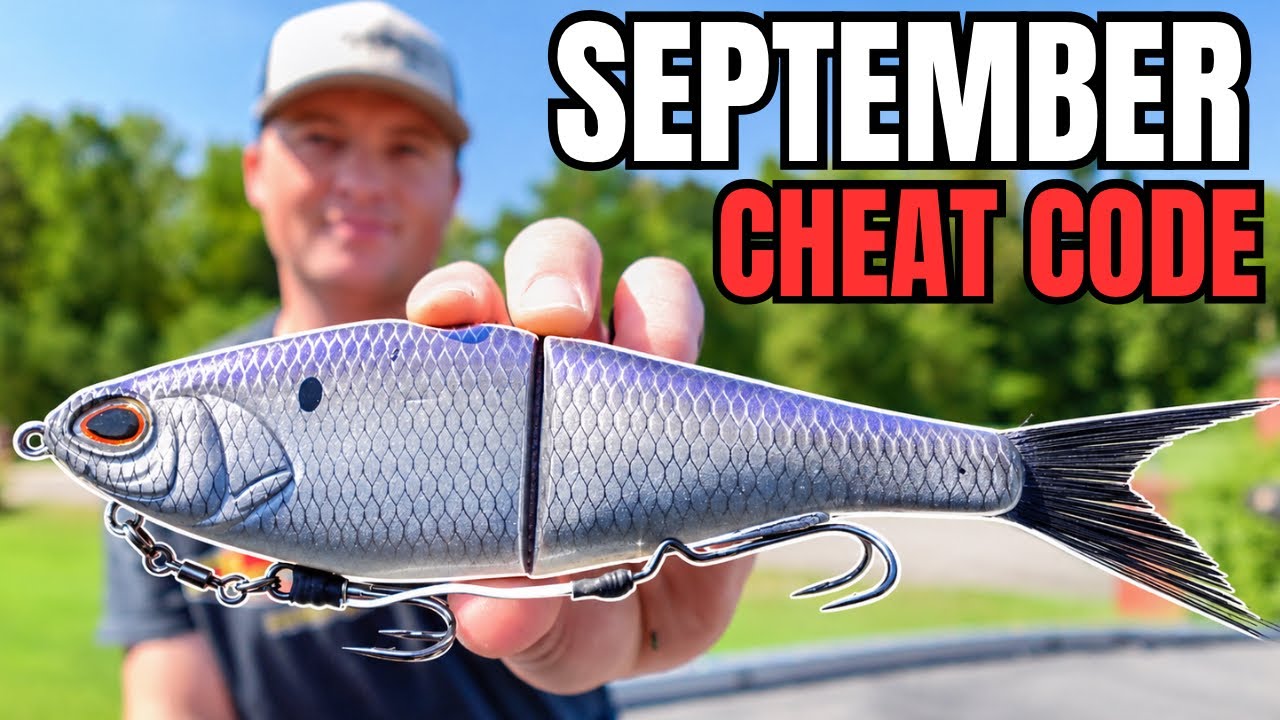 I NEVER go fishing without these baits in September…