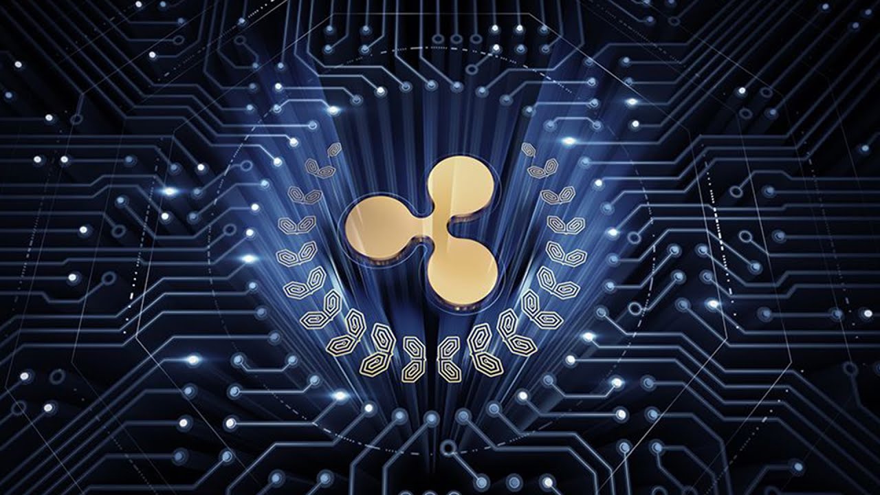 XRP JUST IN BEARABLEGUY123 !!!!!