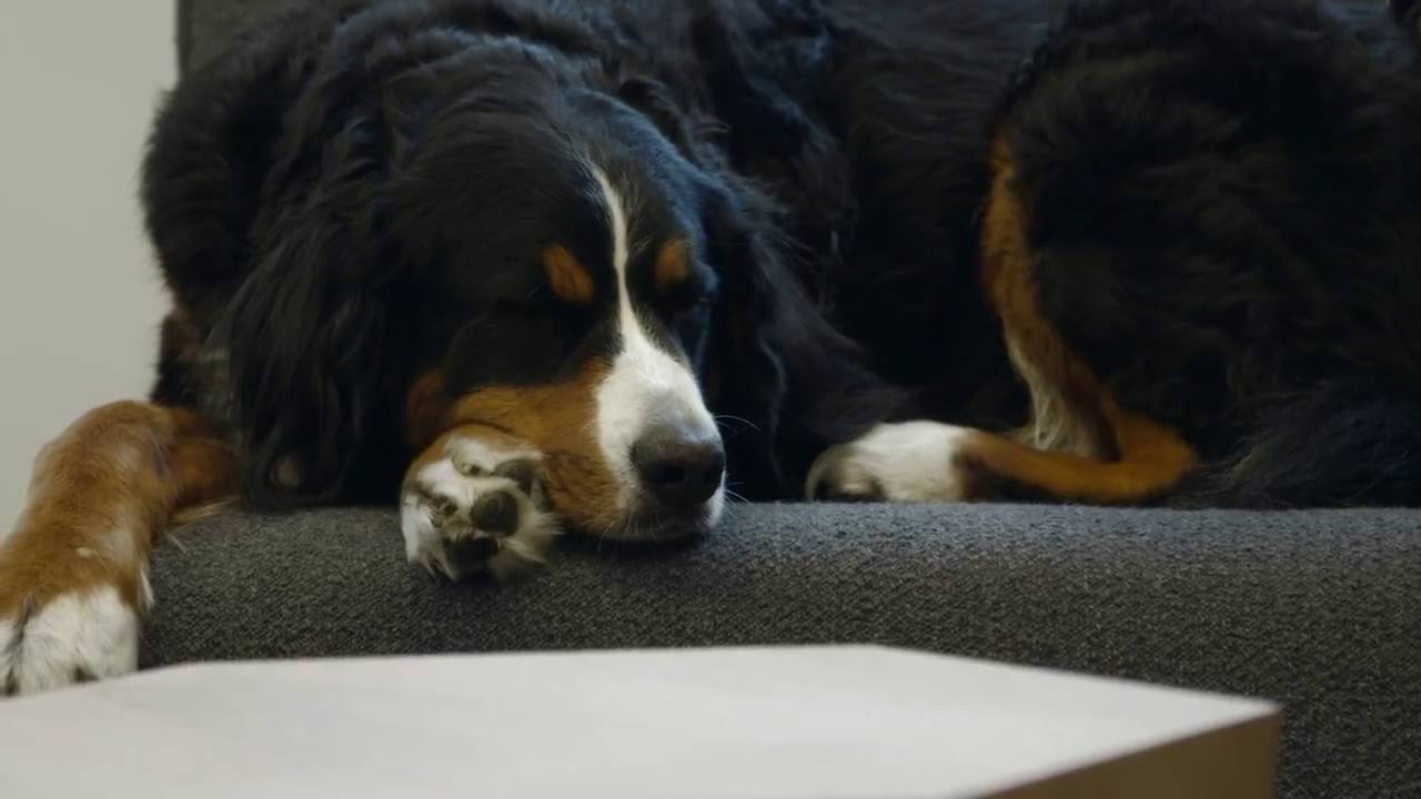 Design Disruptors Trailer A documentary from InVision 1 - YouTube