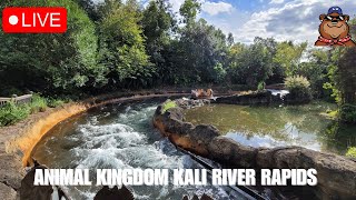 🔴 Live: Thursday Stream at Animal Kingdom for Kali River Rapids with some friends - 05/16/24 pt 2