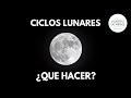 Siembra con fases de la luna