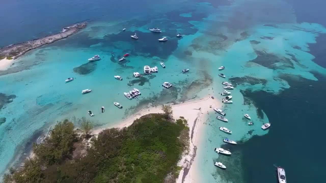 Cat'n around Bimini 2016 honeymoon harbor pt2 YouTube