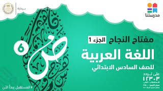 حساب المائة للصف السادس الابتدائي | هتفهم النسبة المئوية صح 👼