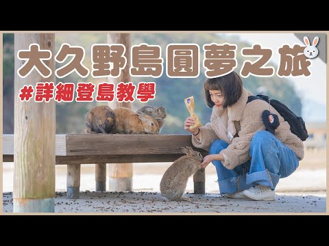 大久野島圓夢之旅！兔兔們阿姨來看你們了～含詳細登島教學！｜兩隻胖兔兔 侑敏yomin