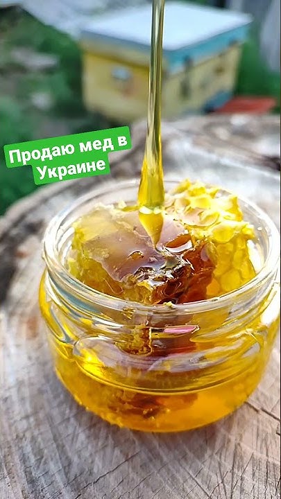 сотовый мёд в банках #shorts - YouTube