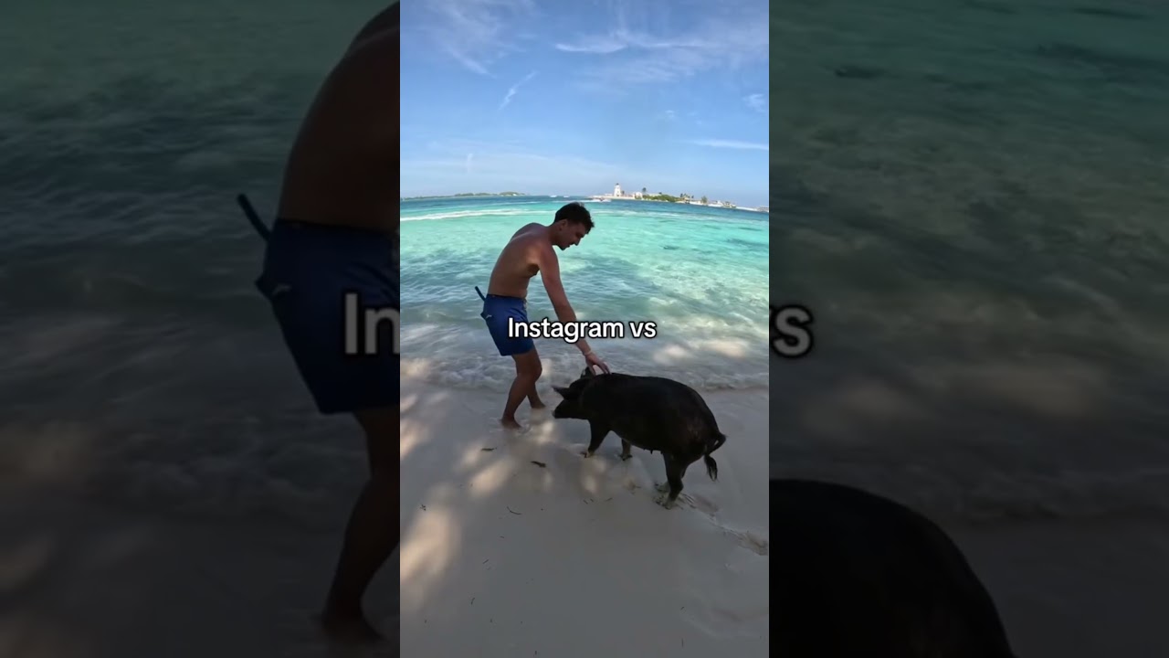 #путешествия