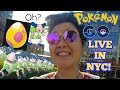 POKÉMON GO EGG HATCHING SHINY HUSBAND? LIVE IN NYC!!