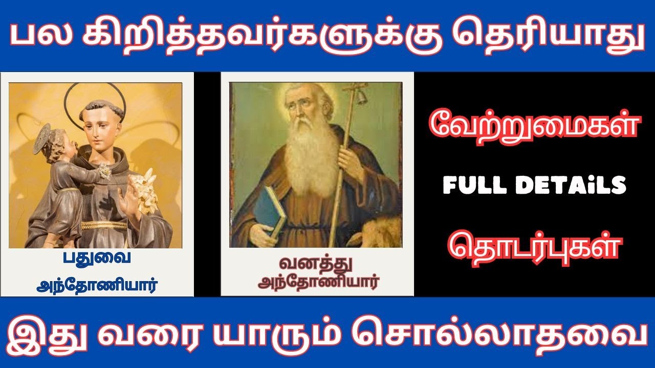 பதுவை அந்தோணியார் VS வனத்து அந்தோணியார்/ Differences and Connections/ History/Iconography/Legacy