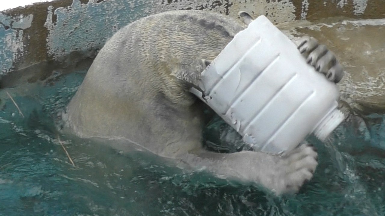 [Проверка] По всей видимости, Хоу становится в 100 раз милее, когда носит пластиковый контейнер💗