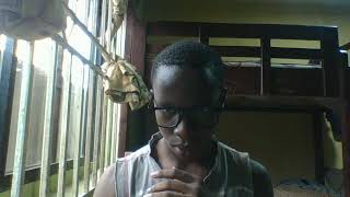 WIN 20260727 11 26 54 Pro